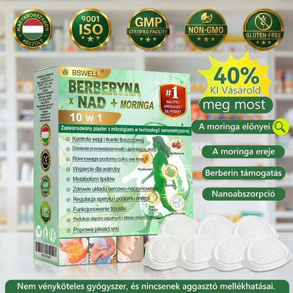 🧑‍⚕️🧑‍⚕️BSWELL® Nano mikrotűs karcsúsító tapasz (Naponta csak egyszer, 28 nap alatt látható változások ✅ Elhízás, szív- és érrendszeri egészség, cukorbetegség, alvási apnoe, bélrendszeri egészség, ízületi problémák és még sok más támogatására)